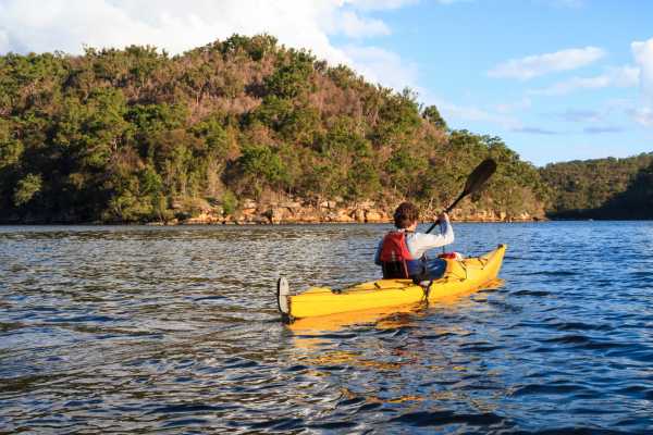 Tamarindo Estuary Kayaking Tour