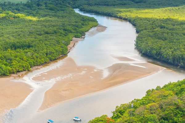 Tamarindo Estuary Kayaking Tour