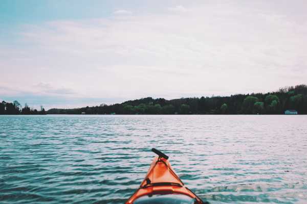 Tamarindo Estuary Kayaking Tour