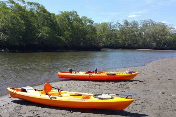 Tamarindo Estuary Kayaking Tour
