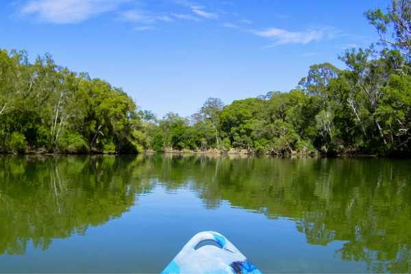 Tamarindo Estuary Kayaking Tour