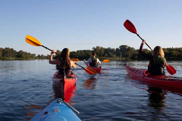 Tamarindo Estuary Kayaking Tour