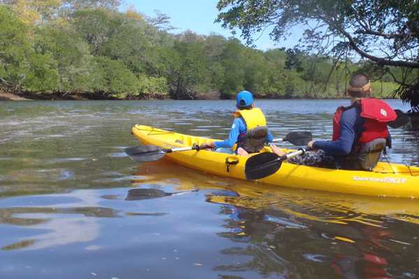 Tamarindo Estuary Kayaking Tour