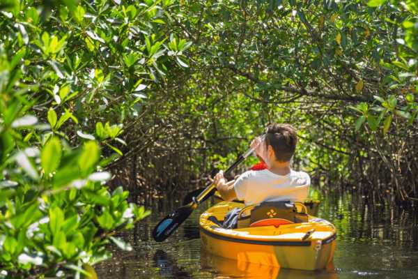 Tamarindo Estuary Kayaking Tour