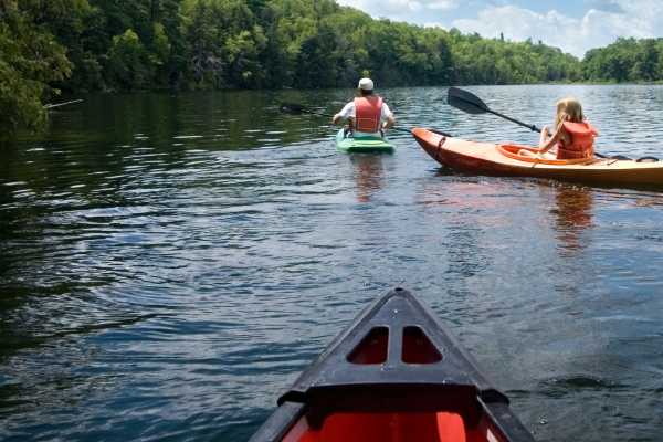 Tamarindo Estuary Kayaking Tour