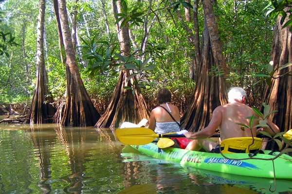 Tamarindo Estuary Kayaking Tour