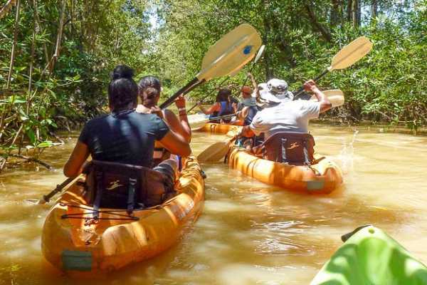 Tamarindo Estuary Kayaking Tour