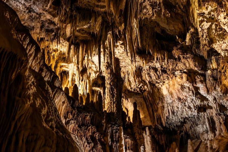 Tour Guanacaste Barra Honda Cavern Descent Tour