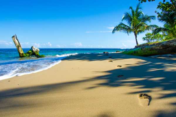 Kayak, Paddle Board, Snorkel Beach Combo