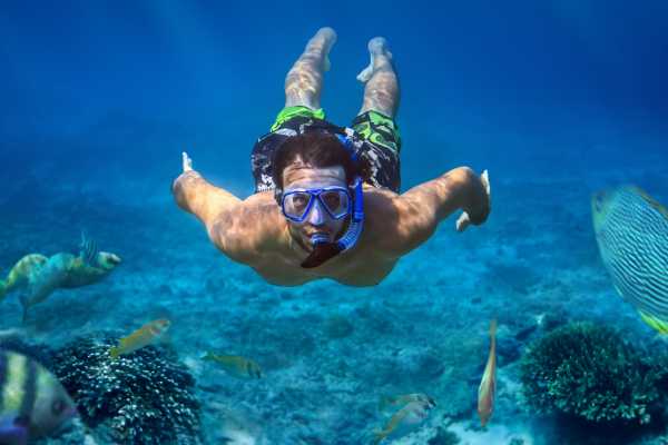 Kayak, Paddle Board, Snorkel Beach Combo