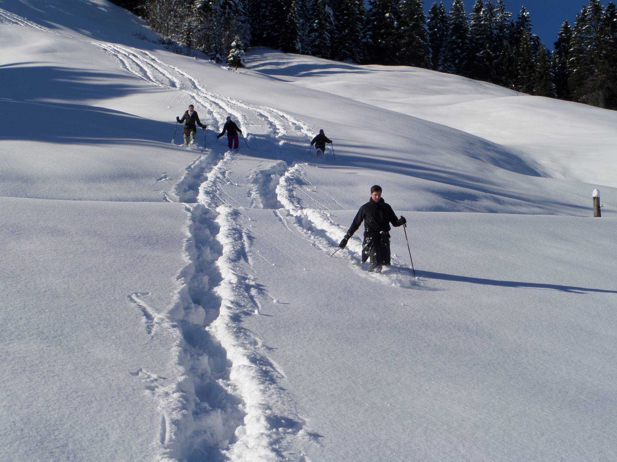 snowshoeing advanced