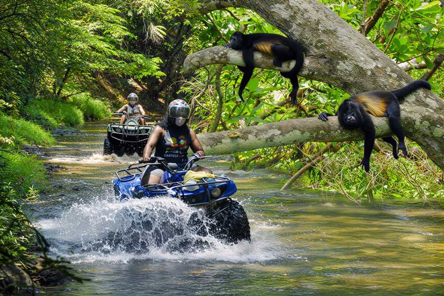 Congo Canopy ATV Monkey Wild Life Park Combo