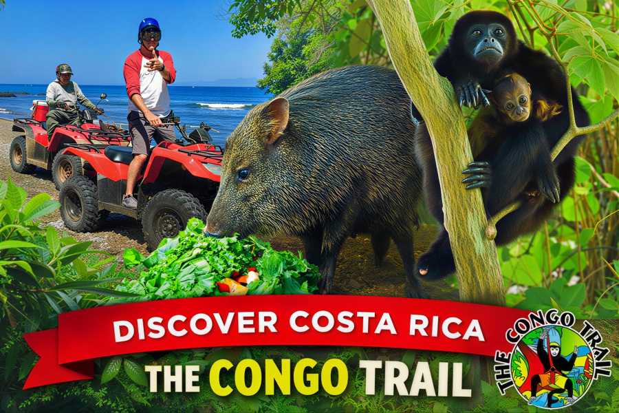 Congo Canopy ATV Monkey Wild Life Park Combo