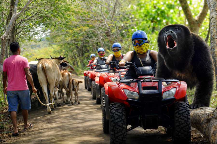 Congo Canopy ATV Monkey Wild Life Park Combo