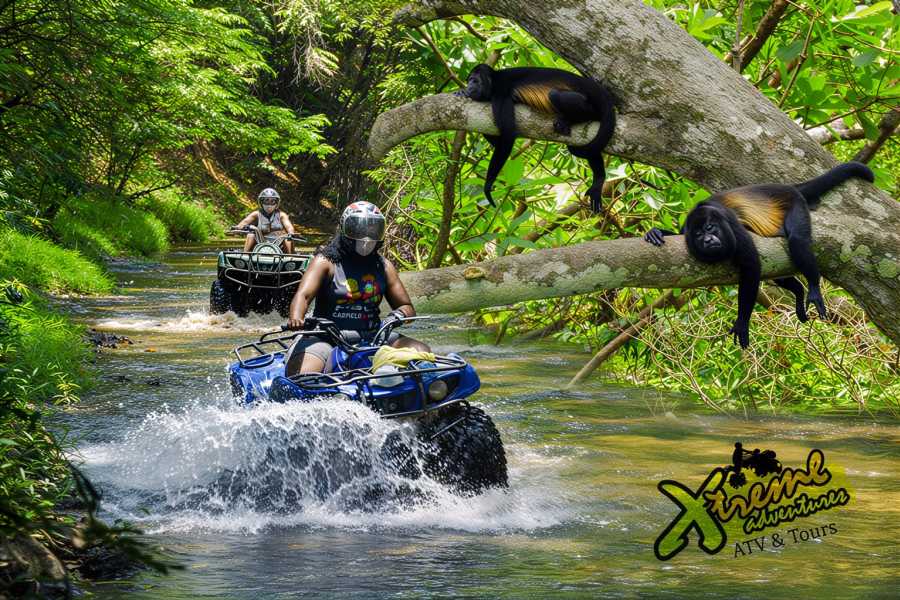 Congo Canopy ATV Monkey Wild Life Park Combo