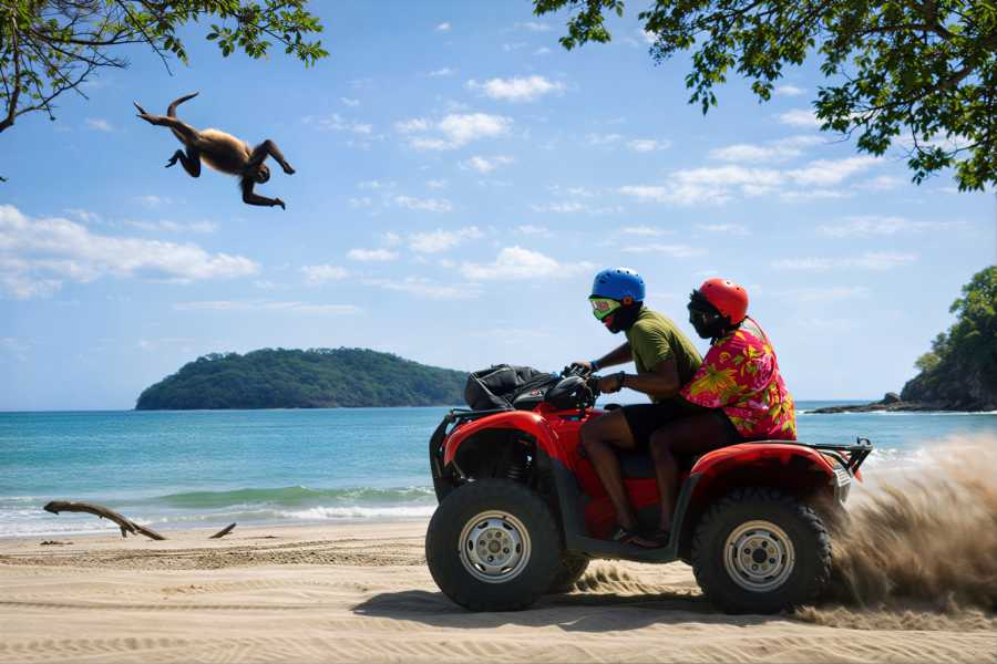 Congo Canopy ATV Monkey Wild Life Park Combo