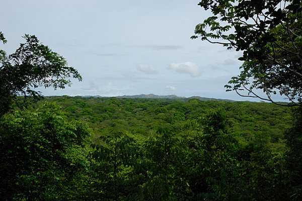 Santa Rosa Park and Liberia Tour