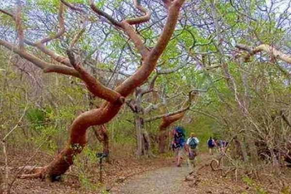 Santa Rosa Park and Liberia Tour