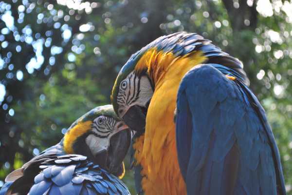 Santa Rosa Park and Liberia Tour