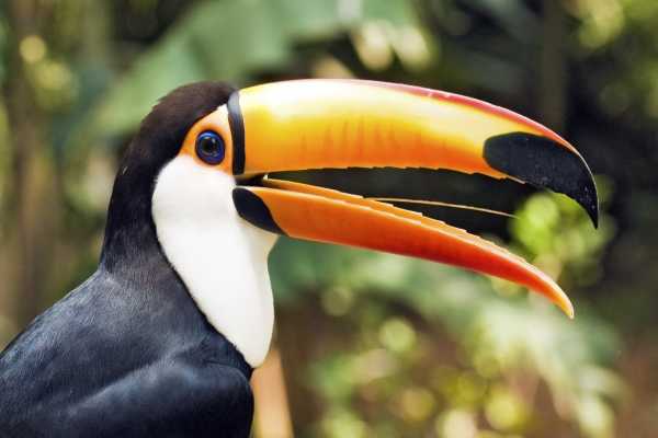 Santa Rosa Park and Liberia Tour
