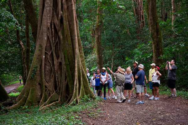 Santa Rosa Park and Liberia Tour