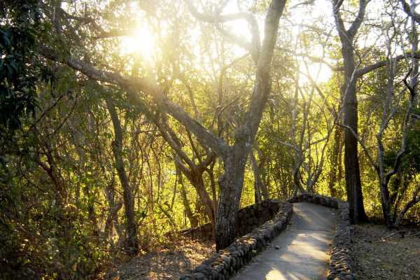 Santa Rosa Park and Liberia Tour