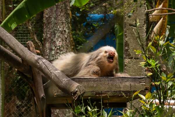 Santa Rosa Park and Liberia Tour