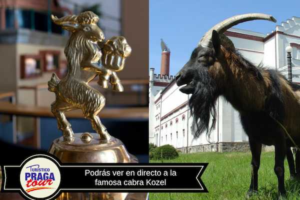 Excursi&oacute;n a la cervecer&iacute;a Kozel desde Praga