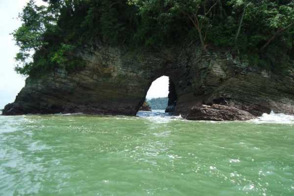 Las Catalinas Ocean Safari Tour