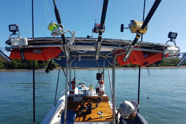 Las Catalinas Ocean Safari Tour