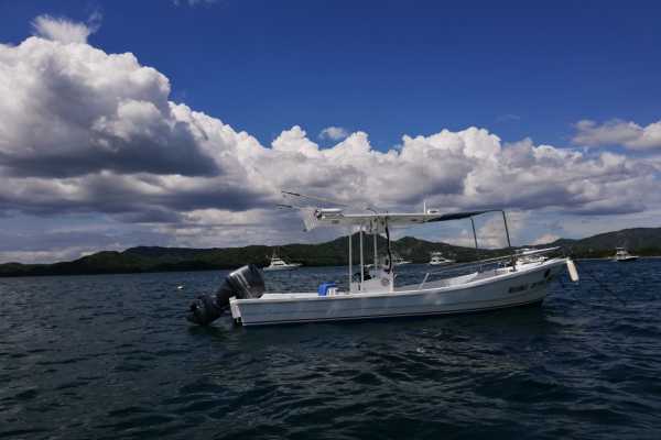 Las Catalinas Ocean Safari Tour