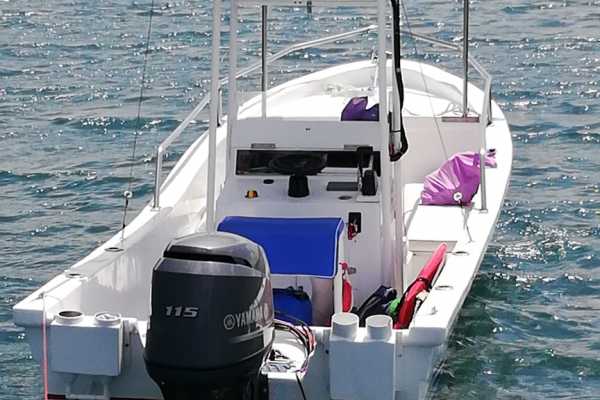 Las Catalinas Ocean Safari Tour