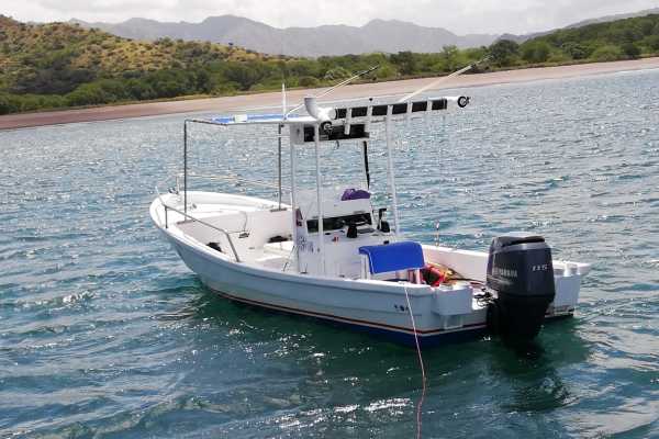 Las Catalinas Ocean Safari Tour