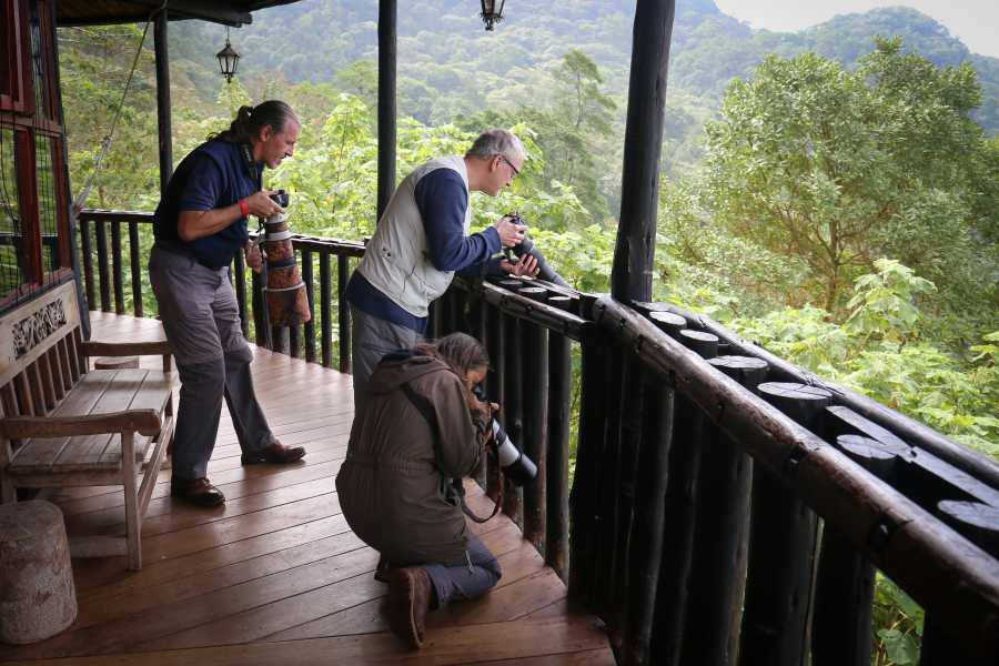 Andes Ecotours Chicaque Cloud Forest Birding & Birdwatching