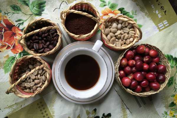Birds & Beans Traditional Coffee Tour
