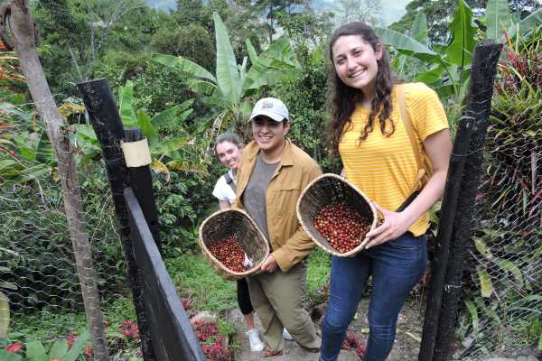 Birds & Beans Traditional Coffee Tour