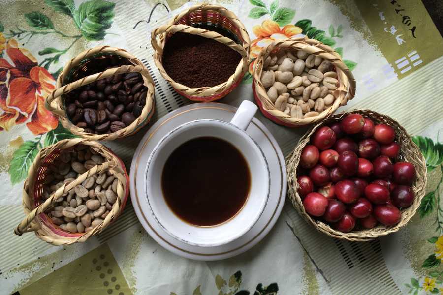 Andes Ecotours Birds & Beans Traditional Coffee Tour