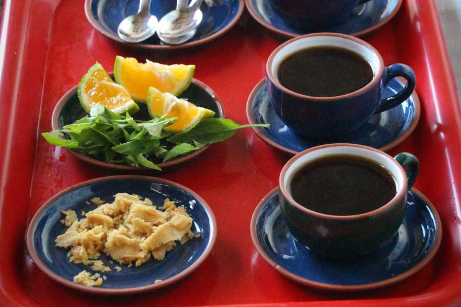 Andes Ecotours Birds & Beans Traditional Coffee Tour