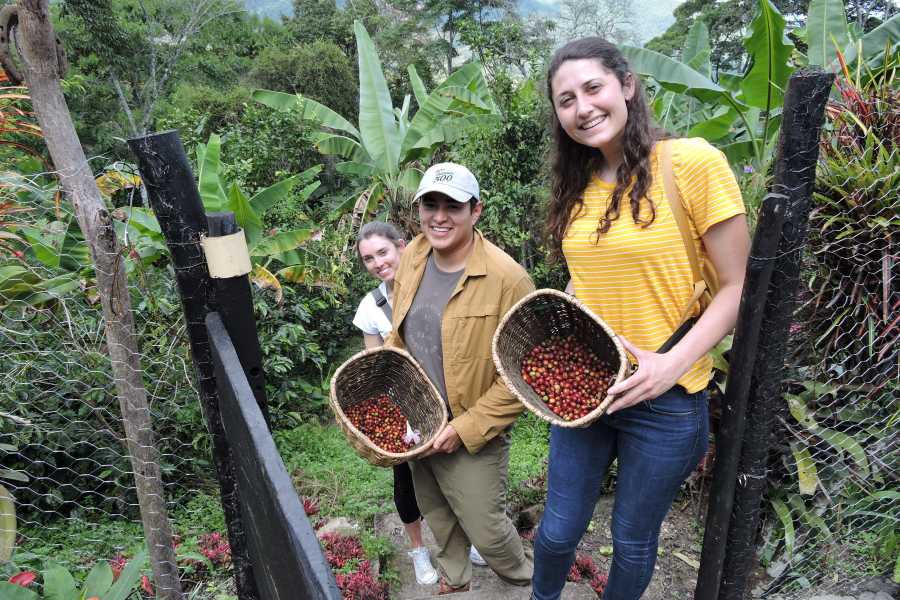 Andes Ecotours Birds & Beans Traditional Coffee Tour