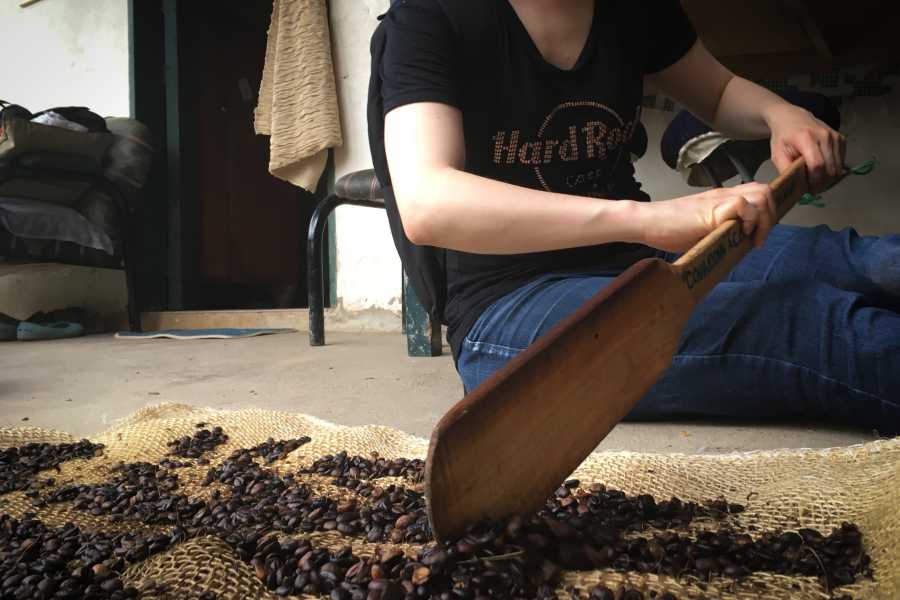 Andes Ecotours Birds & Beans Traditional Coffee Tour