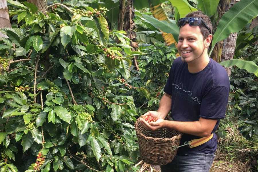 Andes Ecotours Birds & Beans Traditional Coffee Tour