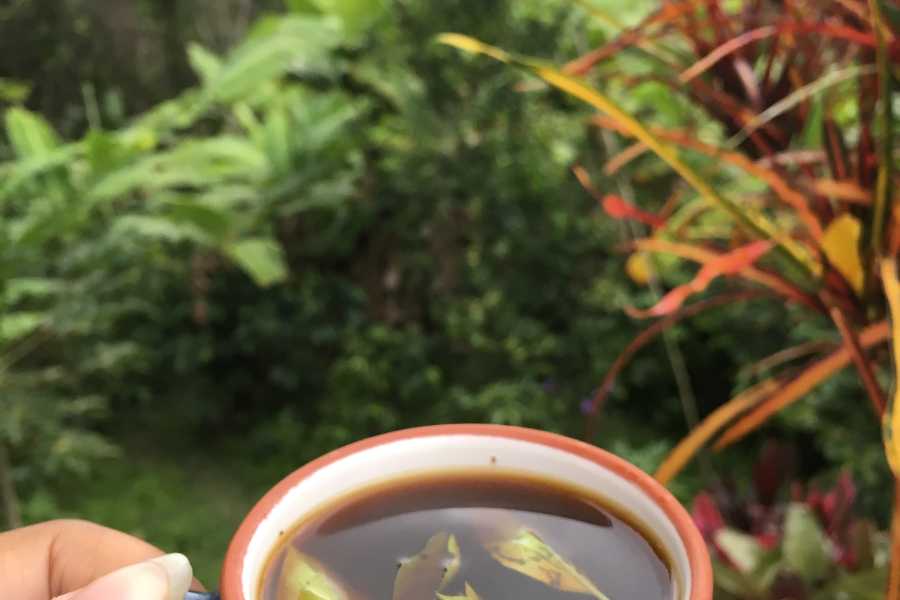 Andes Ecotours Birds & Beans Traditional Coffee Tour