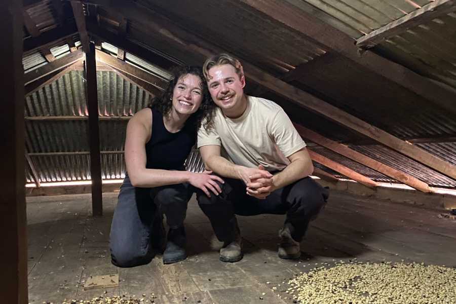 Andes Ecotours Birds & Beans Traditional Coffee Tour
