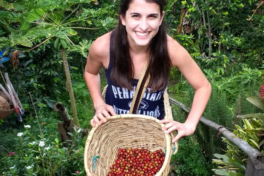 Andes Ecotours Birds & Beans Traditional Coffee Tour