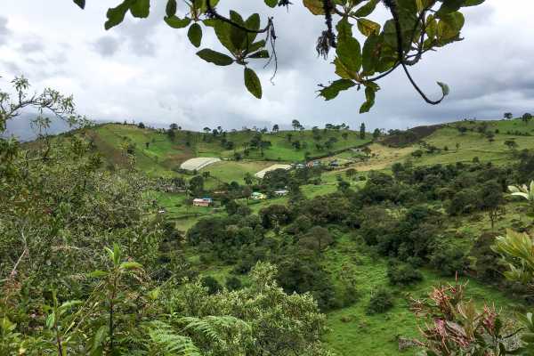 La Chorrera Cloud Forest & Waterfall Hike