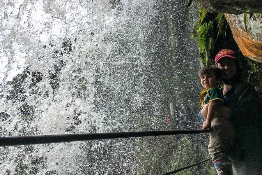 Andes Ecotours La Chorrera Cloud Forest & Waterfall Hike
