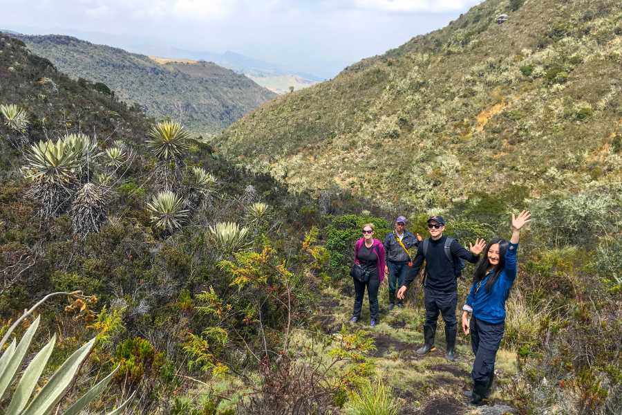 Andes Ecotours Sumapaz Mountaintop P&aacute;ramo Trek