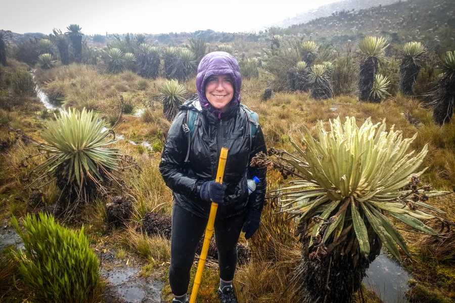 Andes Ecotours Sumapaz Mountaintop P&aacute;ramo Trek
