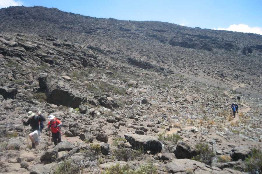 Absolute Adventure Kilimanjaro - Rongai Route