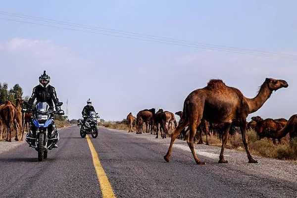 Best of Morocco Guided Motorbike Tour - From Marrakesh!